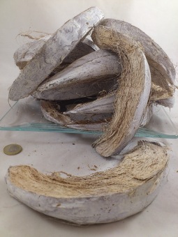 Coco husk 500 gr. white-wash
